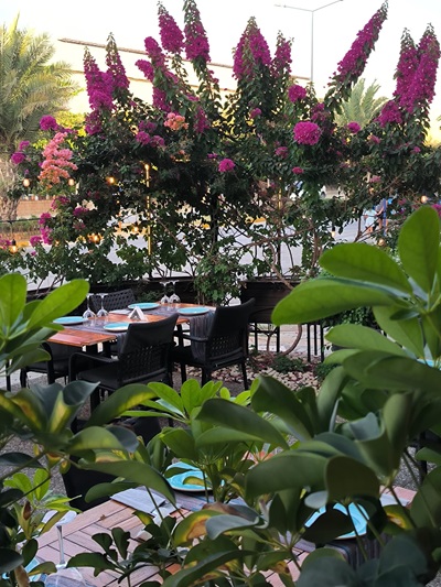 restaurant​ gallery danials cuisine 5